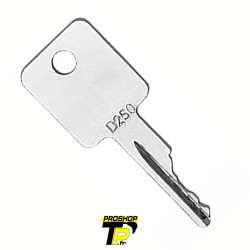 Bobcat clé de démarrage D250