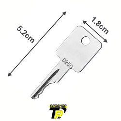 Bobcat clé de démarrage D250