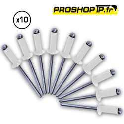 Lot de 10 rivets blancs 4x16mm