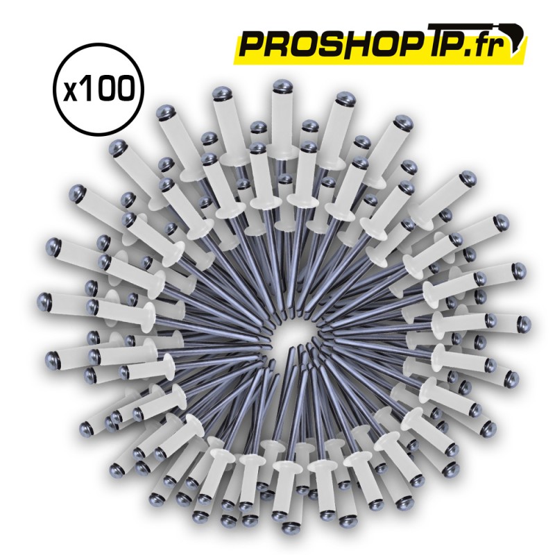 Lot de 100 rivets blancs 4x16mm