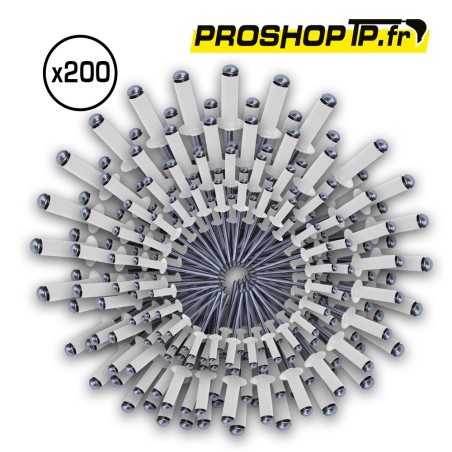Lot de 200 rivets blancs 4x16mm
