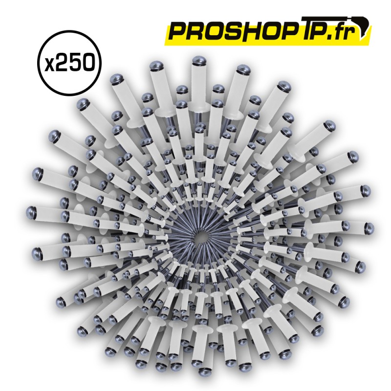 Lot de 250 rivets blancs 4x16mm