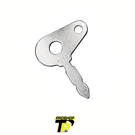 Lucas clé de démarrage T250