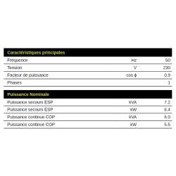 ES8000 AVR 6400W 230V Monophasé essence groupe électrogène Pramac