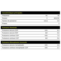 E8000 TRI 6600W 400V / 230V Triphasé essence groupe électrogène sur châssis Pramac