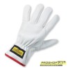 Gants cuir de vachette série Protect – Protection mécanique EN388 Taille 10/XL | ProshopTP