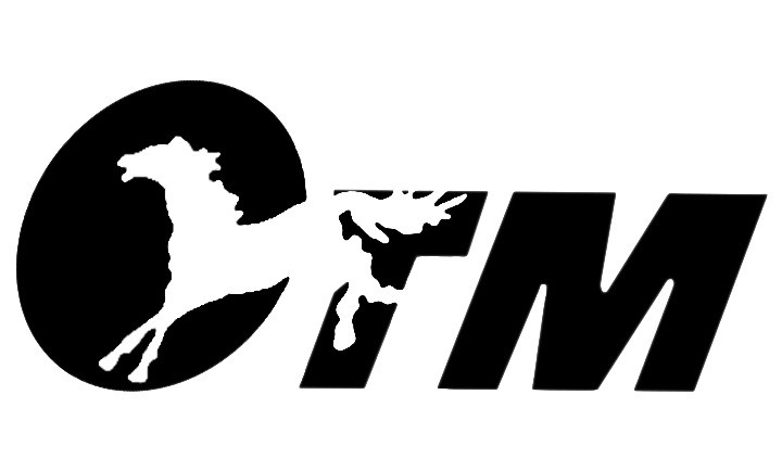 CTM TYRE